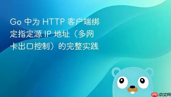 Go ��Ϊ HTTP �ͻ��˰�ָ��Դ IP ��ַ�����������ڿ��ƣ�������ʵ��