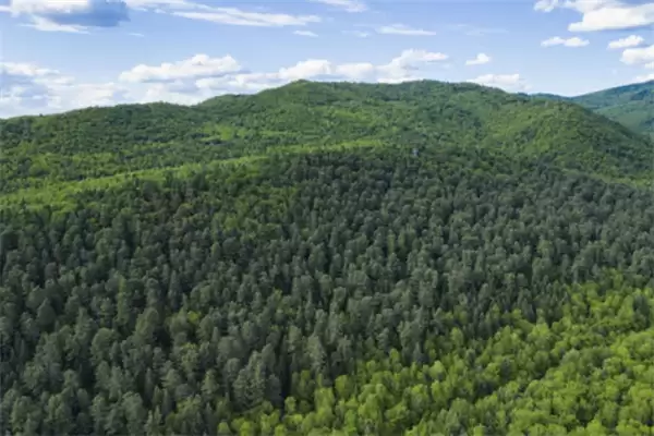 ����ׯ԰4��16�ս��մ�2026