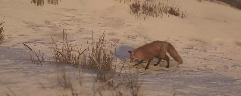 ���̿�������Ӱ�����ԡ���ѩ�س��ī��λ�ý���