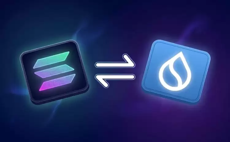 ��ν�Solana�Žӵ�Sui?����Щ����?Solana�Žӵ�Sui������ָ��(2026��)