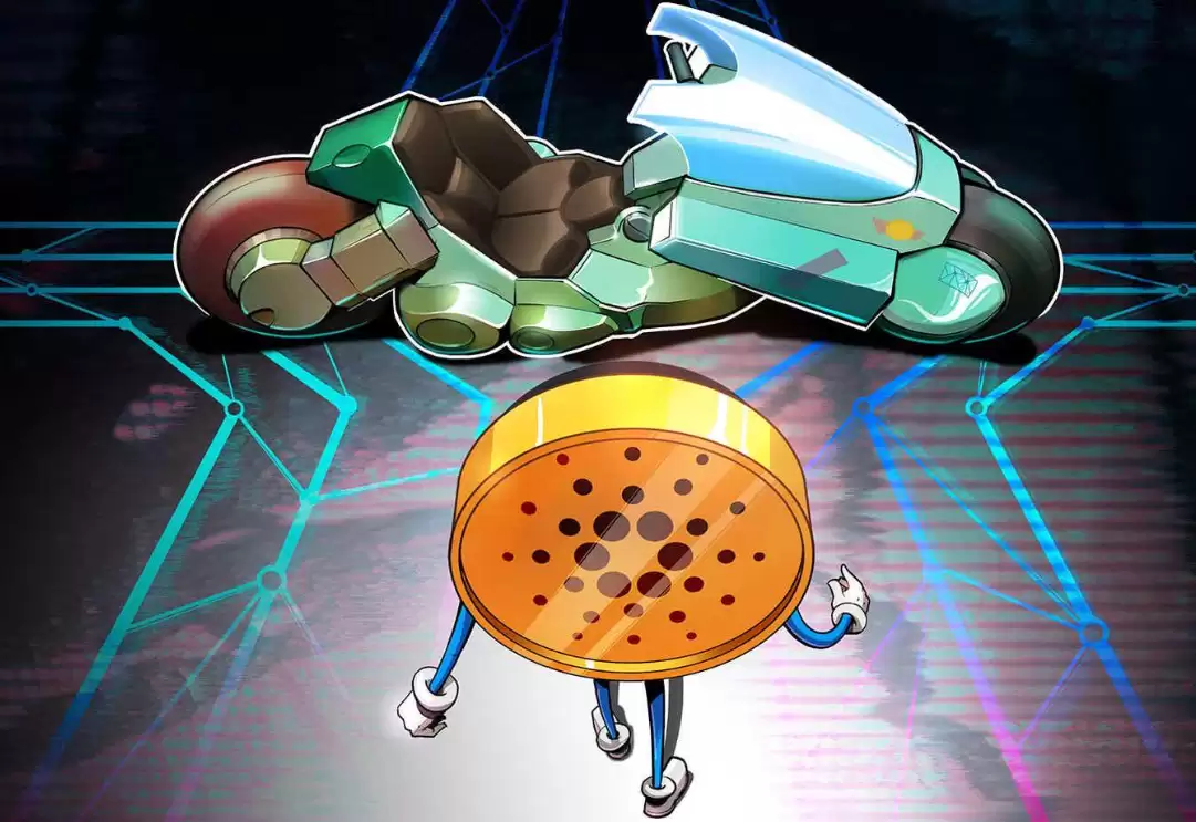 �����2026����ܴ�����2026�����ǰ������