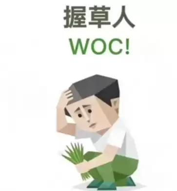 SBTI�����ղ�����ʲô�˸�-�ղ���WOC!�˸����