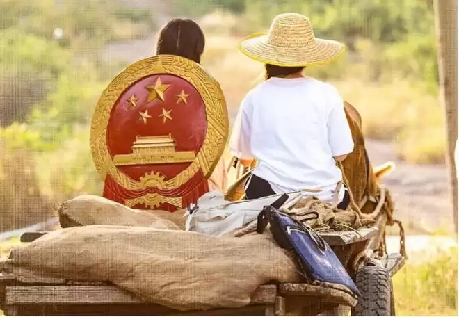 当法官成为主角:法治剧如何以幽默破圈? 当法官成为主角:法治剧如何以幽默破圈?