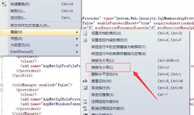 visualstudio��ĸ��ô�л���Сд-��ĸ�л���Сд����ϸ����