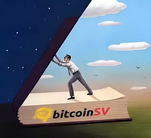 bsv�ܳ�Ϊ�¸����ر���bsv��2026��ǰ������