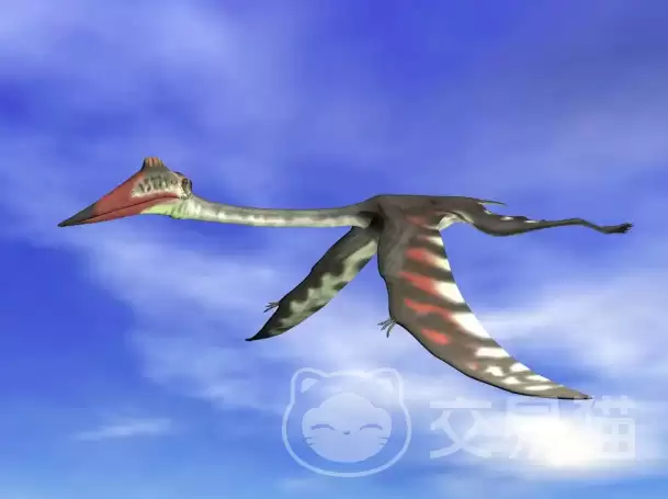 ����������ԴԶ�����������������ԴԶ���������뱳���趨