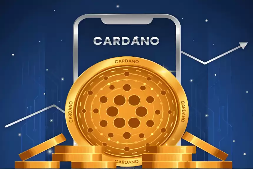 �����2026����ܴ�����2026�����ǰ������