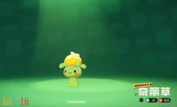 洛克王国世界奇丽花抓取位置 洛克王国世界在那抓奇丽花 洛克王国世界奇丽花抓取位置 洛克王国世界在那抓奇丽花