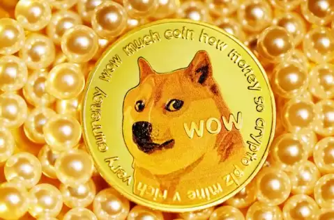 2026���������ǵ�����,������DOGE����ͻ��1��Ԫ��