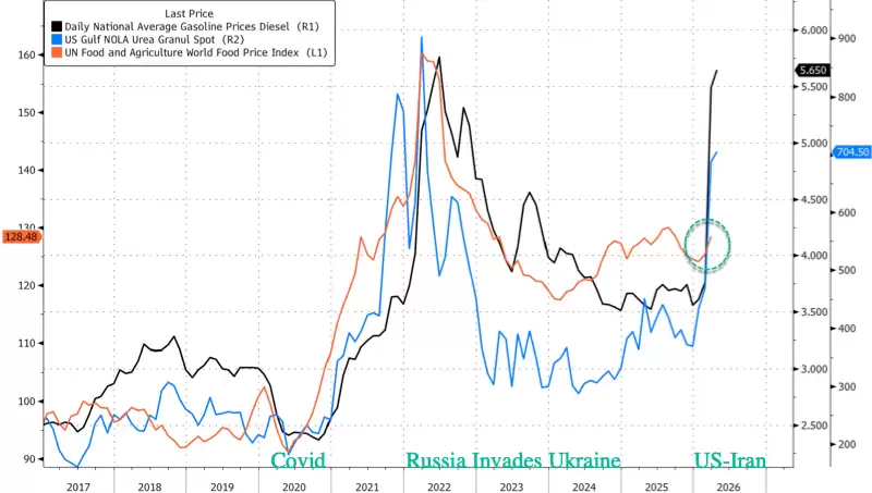 ����Σ��ʧ�أ���ʢ���ϵ͹������������ͳ�������ؼ۸���70%