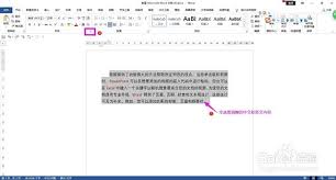 �����word�����ú��ֺ�Ӣ��Ϊ��ͬ����