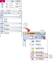 access2010��θ��Ĵ���ָʾ����ɫ