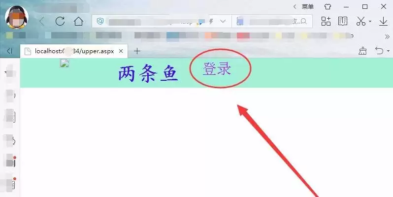VisualStudio��ҳ������ô���ӳ�����