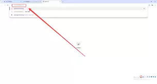 ��β鿴�뵼��Google����������ʷ-Google����������ʷ�鿴��������