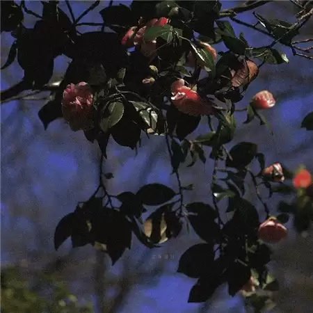 昵称高级感伤女生网名大全(精选100个) 昵称高级感伤女生网名大全(精选100个)