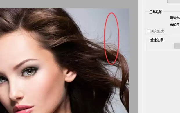 Photoshop液化工具在哪-PS瘦脸瘦身修图技巧是什么 Photoshop液化工具在哪-PS瘦脸瘦身修图技巧是什么