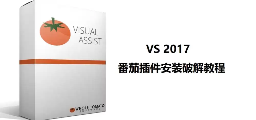 VS2017���Ѳ��visual assist��ô���ذ�װ