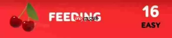 ���ĸ��ӳ�����ôˢ?���ĸ��ӳ�����ˢ����