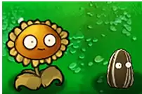 植物大战僵尸杂交版坚果向日葵属性介绍 植物大战僵尸杂交版坚果向日葵属性介绍