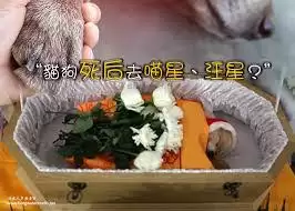 �������ǰ������-������ô����ȥ����