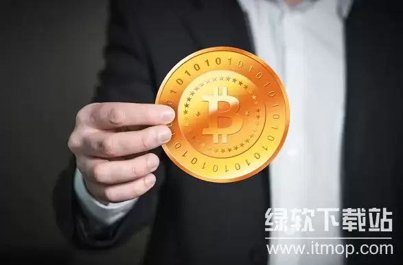 ͶƱ������Ա��ôͶƱ�������ϱ�ͶƱ����2026