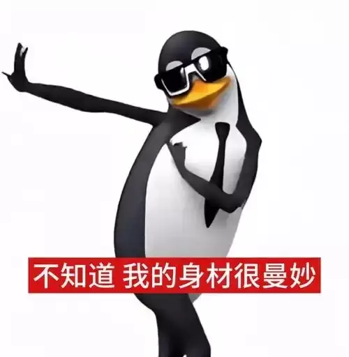 我的身材很曼妙梗介绍 我的身材很曼妙梗介绍