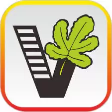 ��Ҫ��ѧ����β鿴���ݴ���