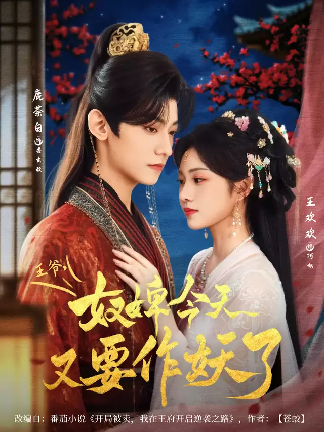 �̾硶��ү��ū澽�����Ҫ�����ˡ��������