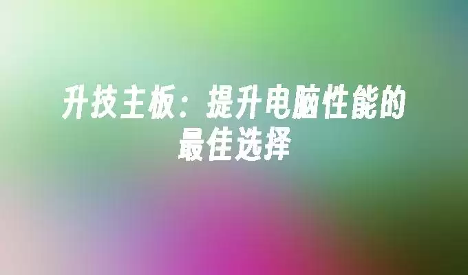 �������壺�����������ܵ����ѡ��