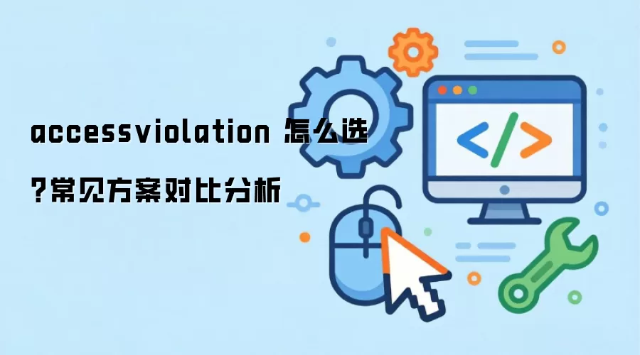 accessviolation ��ôѡ�����������Աȷ���