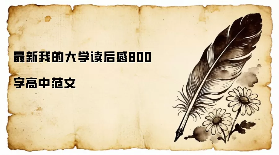 �����ҵĴ�ѧ�����800�ָ��з���