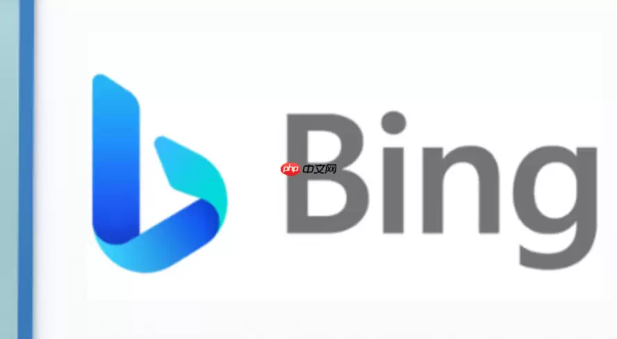 bing���ʰ������ҳ��� bing���ʰ���ҳ������������