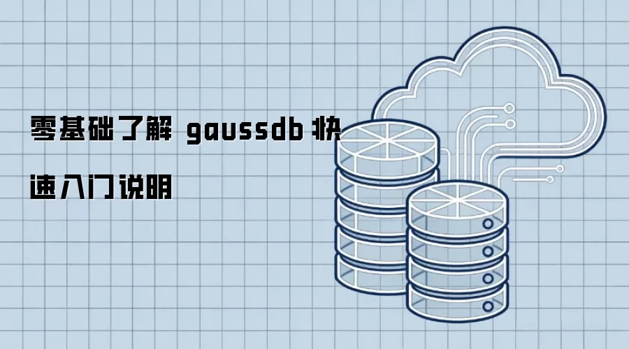 ������˽� gaussdb����������˵��