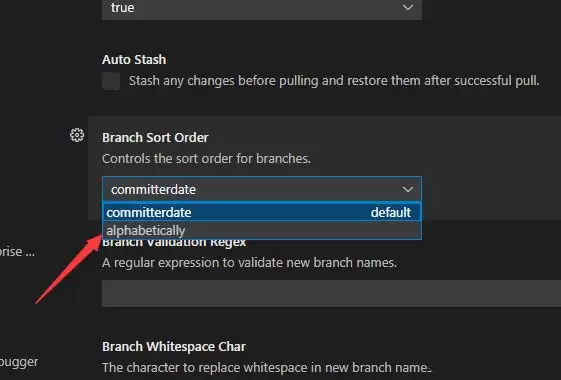 VSCode��֧��ô����ĸ˳������