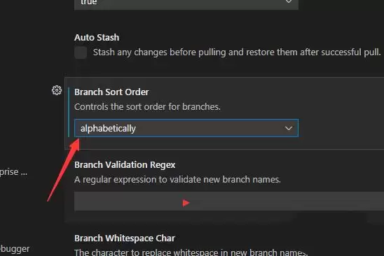 VSCode��֧��ô����ĸ˳������