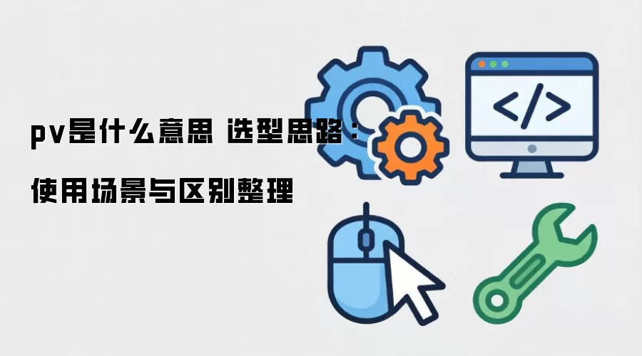 pv��ʲô��˼ ѡ��˼·��ʹ�ó�������������