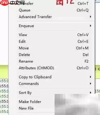 FlashFXP�ϴ���ҳ�̳�