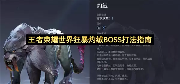 ������ҫ���������BOSS��ָ��