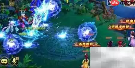 ����������ȫ����