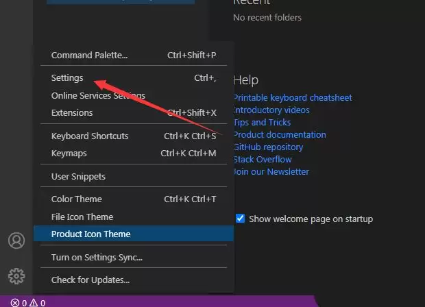 VSCode��֧��ô����ĸ˳������