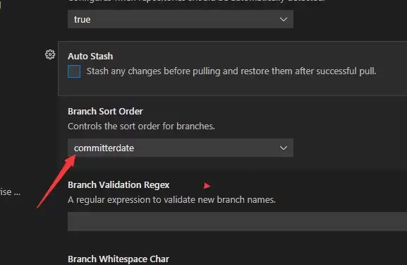 VSCode��֧��ô����ĸ˳������