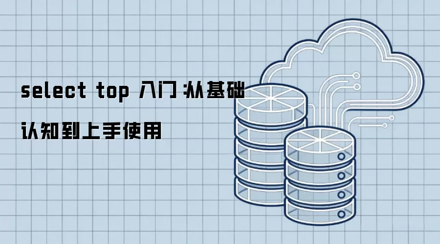 select top 入门:从基础认知到上手使用 select top 入门:从基础认知到上手使用
