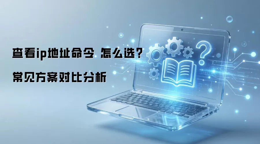 �鿴ip��ַ���� ��ôѡ�����������Աȷ���