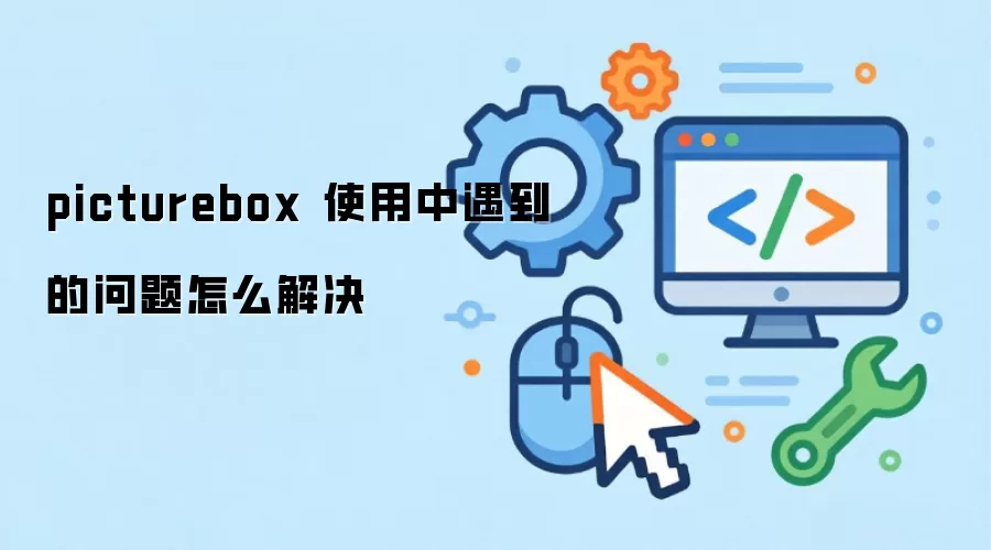 picturebox ʹ����������������ô���