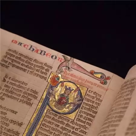 �˸�Ư��������Ů������(��ѡ100��)