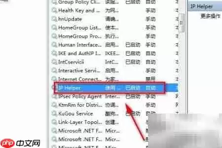 ��β鿴����IP Helper����
