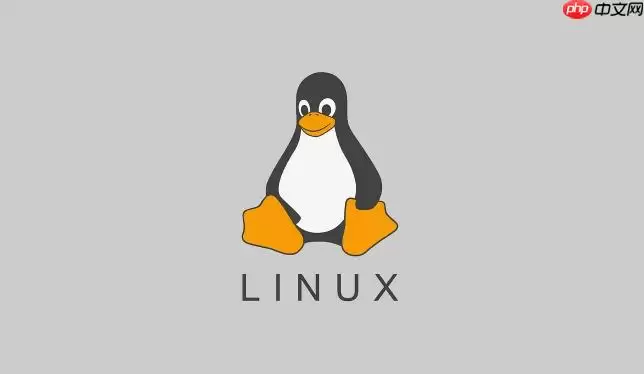Linux������������ʵս_��ַ���������ý�����ָ����