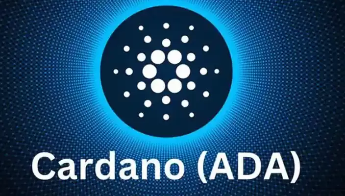��ȦCardano�޶�ѹ����ʲô��˼����ȦADA�޶�ѹ����ɶ��˼