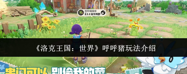 ��������������硷�������淨����