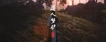 ����ʮ������ӻ����԰����������-����ʮ������ӻ����԰�����������